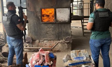 Polícia Civil incinera aproximadamente 1,8 tonelada de maconha durante a Operação NEXUS em Juazeiro (BA)