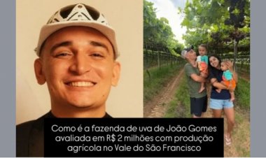 João Gomes surpreendeu os fãs ao revelar que, aos 23 anos, já é dono de duas fazendas no Brasil.