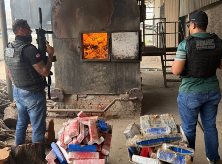 Polícia Civil incinera aproximadamente 1,8 tonelada de maconha durante a Operação NEXUS em Juazeiro (BA)