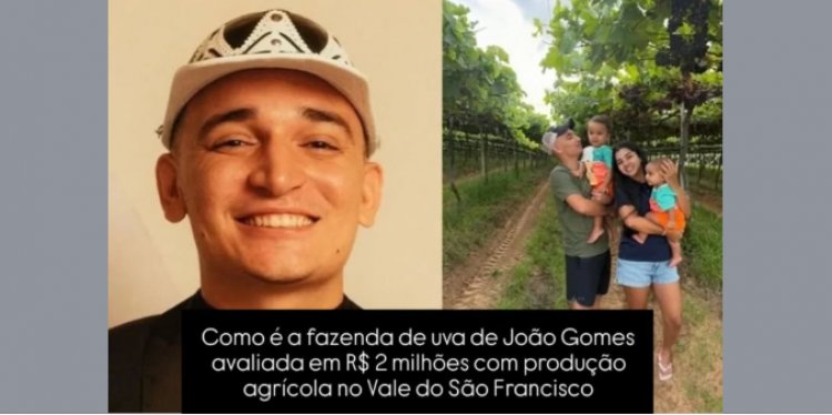 João Gomes surpreendeu os fãs ao revelar que, aos 23 anos, já é dono de duas fazendas no Brasil.