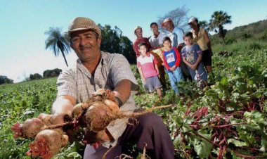 Sintraf-Petrolina orienta agricultores familiares sobre acesso à aposentadoria rural