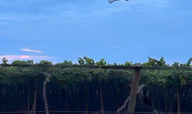 Especialistas em drones agrícolas participam em Juazeiro-BA do SINDAG Drone Tec