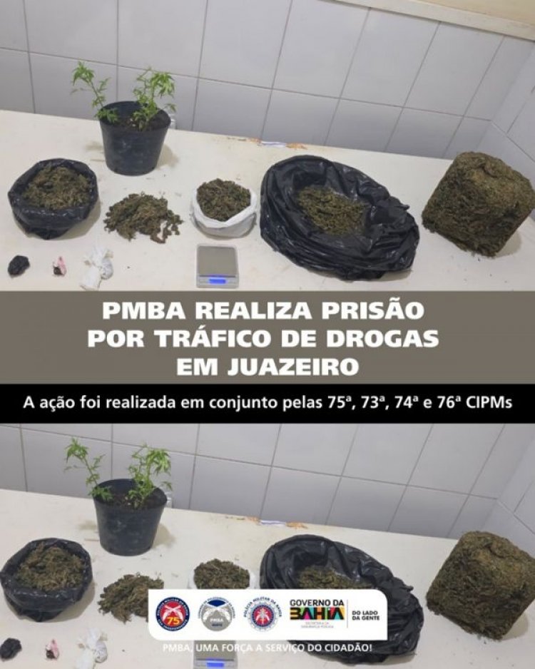 Apreensão de maconha e de pássaros silvestres mantidos de forma irregular. Confira ação da Polícia Militar em Juazeiro