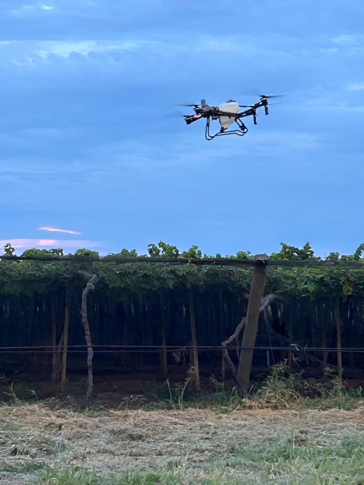Especialistas em drones agrícolas participam em Juazeiro-BA do SINDAG Drone Tec