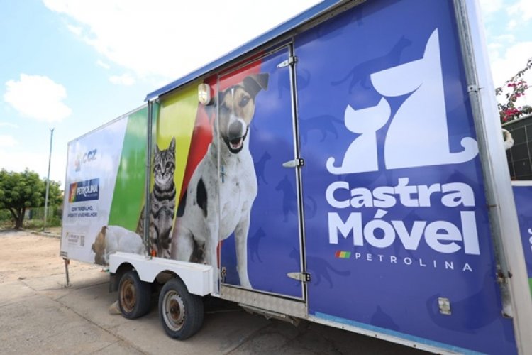 A Agência Municipal do Meio Ambiente (AMMA) segue fortalecendo as ações de proteção e bem-estar animal no município. As ações são desenvolvidas por meio da Coordenação de Bem-Estar Animal.