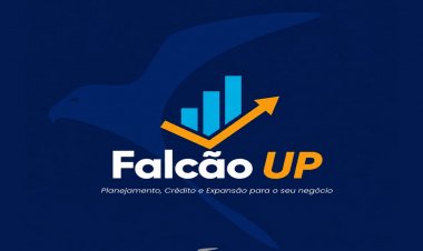 Falcão UP: gestão inteligente para empresas que querem crescer com segurança