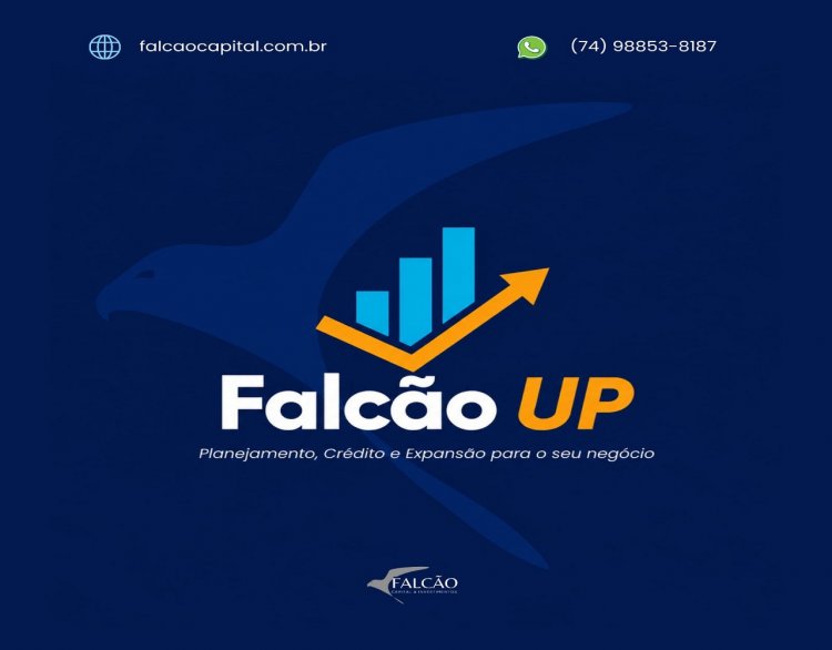 Falcão UP: gestão inteligente para empresas que querem crescer com segurança